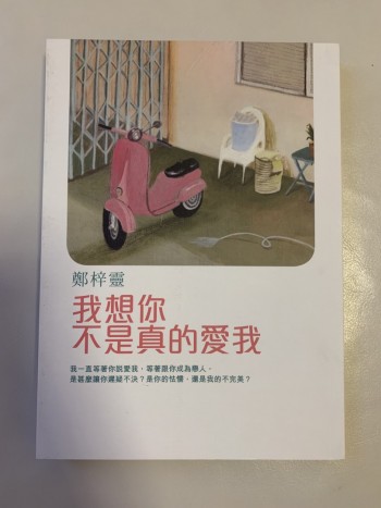 我想你不是真的愛我