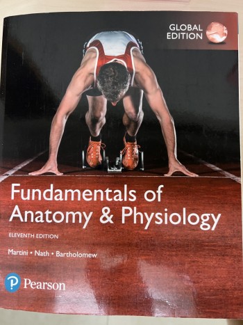 Fundamentals of Anatomy & Physiology