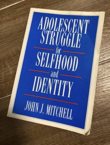 Adolescent struggle for selfhood and identity