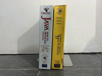 Java及visual basic 6各一本