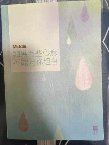 如果有些心意不能向你坦白