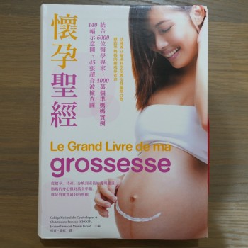 懷孕聖經