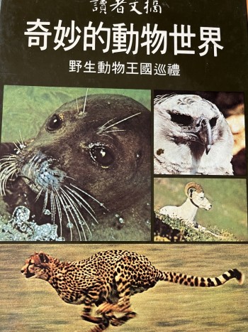 奇妙的動物世界