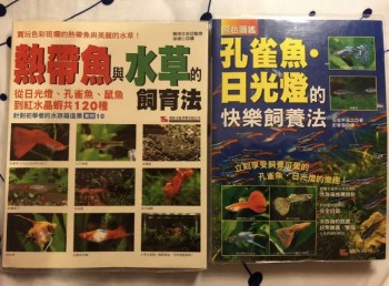 熱帶魚孔雀魚日光燈