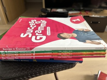 New Treasure 1A1B2A Success in Grammer