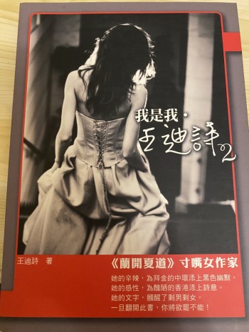 我是王迪詩2