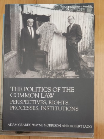 The Politics of The Common Law