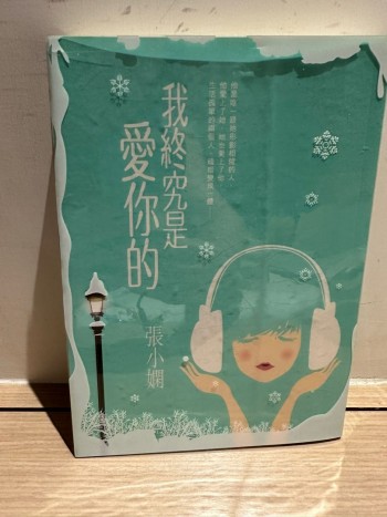 我終究是愛你的