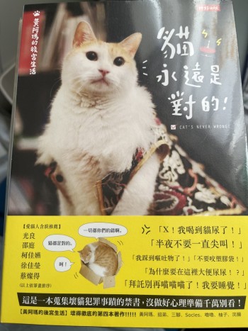 猫永遠是對的