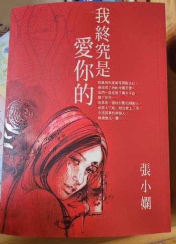 我終究是愛你的