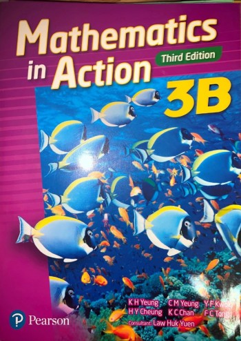 Mathematics in Action Third Edition 3B