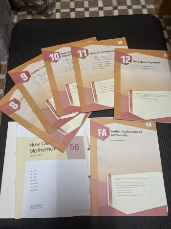 new century mathematics 5B second edition