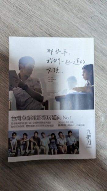 那些年我們一起追的女孩