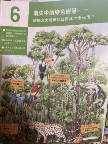 消失中的綠色樹冠