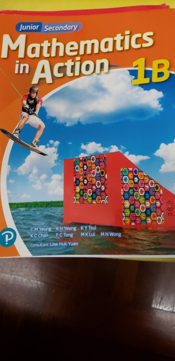 mathematics in action 1A