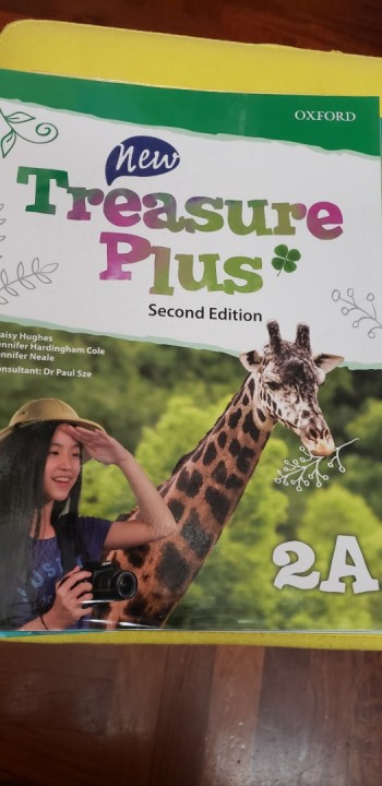 new treasure plus 2A