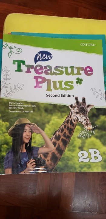 new treasure plus 2B