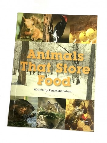 Animals that store food