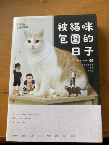 黃阿瑪的後宮生活—被貓咪包圍的日子