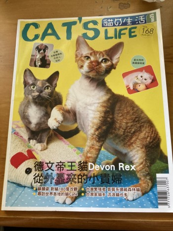 德文帝王貓—從外星來的小貴婦