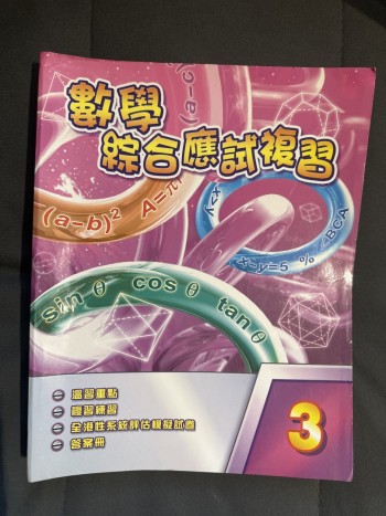 數學綜合應試複習