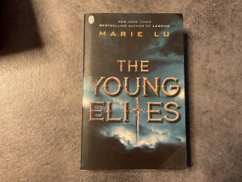 The Young Elites