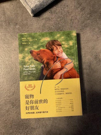 寵物是你前世的好朋友