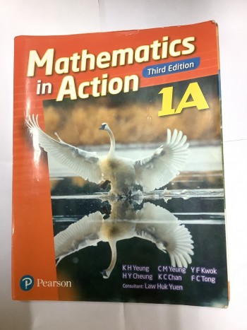 Mathematics in action 1A
