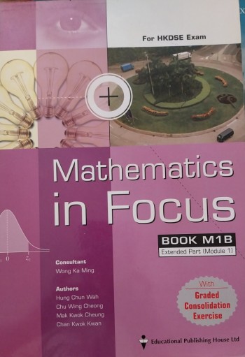 Mathematics in Focus M1B