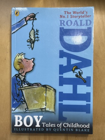 Boy Tales of Childhood