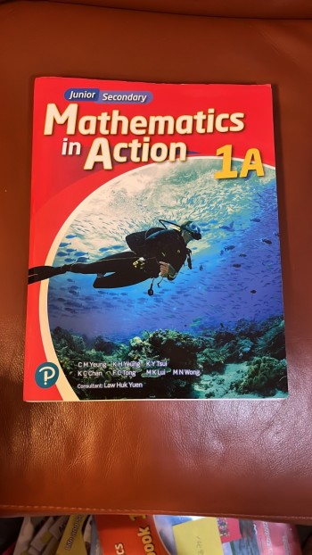 Mathematics in action 1A