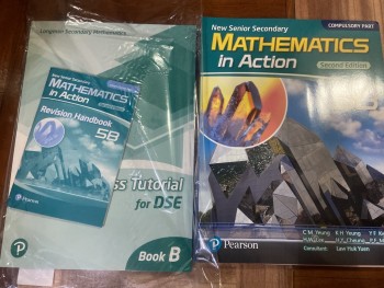 NSS Maths in Action 5B