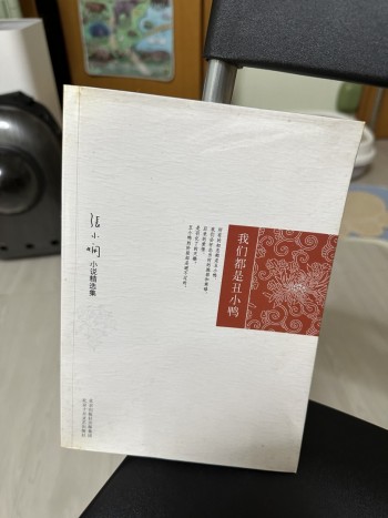 我們都是丑小鴨