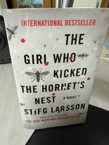 THE GIRL WHO  KICKED THE HORNET'S NEST