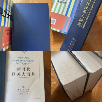 新時代漢英大辭典