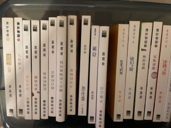 一大堆林詠琛小說