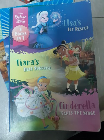 Disney 3 books in 1(Elsa, Tiana, Cinderella )
