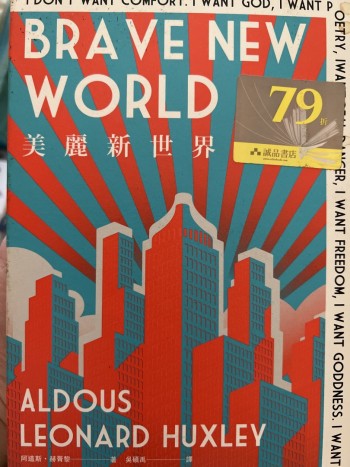 美麗新世界