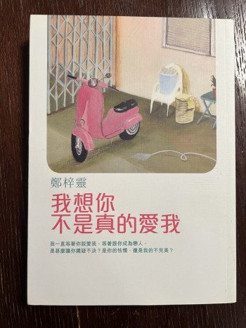 我想你不是真的愛我