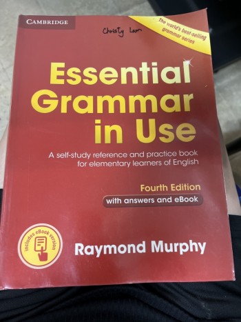 Essential Grammar in use