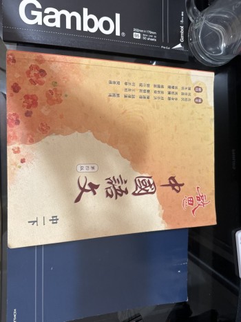 中國語文第四版中一下