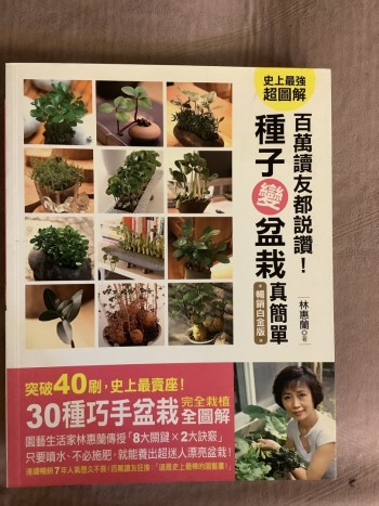 種子變盆栽真簡單