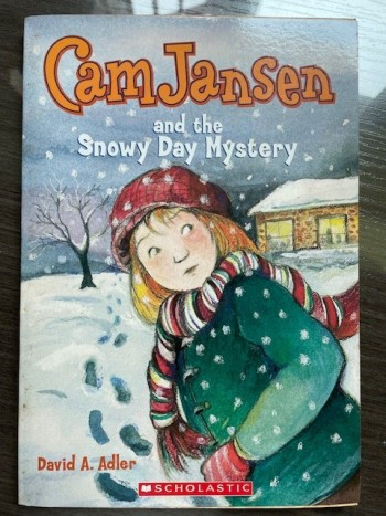Cam Jansen & the Snowy Day Mystery