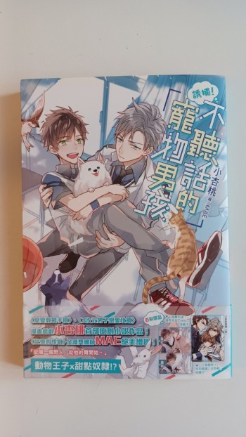 不聽話的寵物男孩