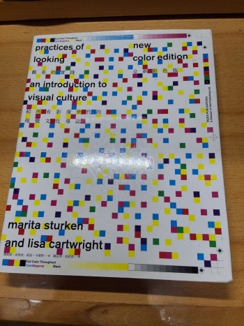 觀看的實踐：給所有影像世代的視覺文化導論