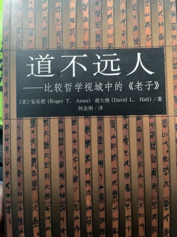 道不遠人 比較哲學視域中的《老子》