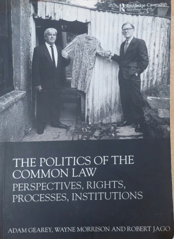 The Politics of the Common Law