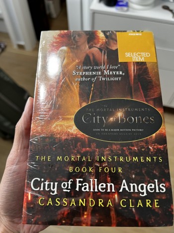 City Of Fallen Angels