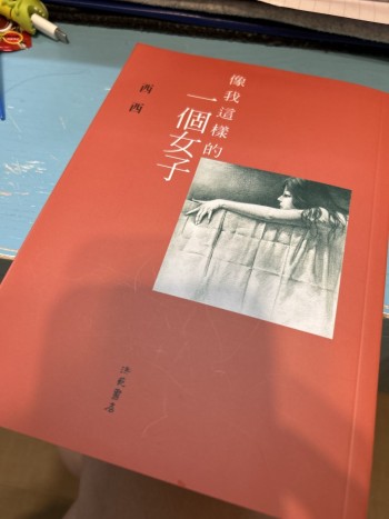 像我這樣的一個女子