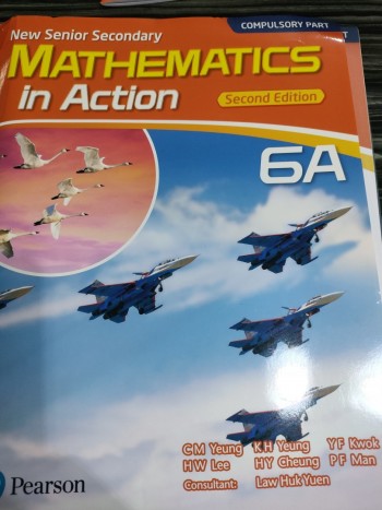 NSS mathematics in action bk 6A